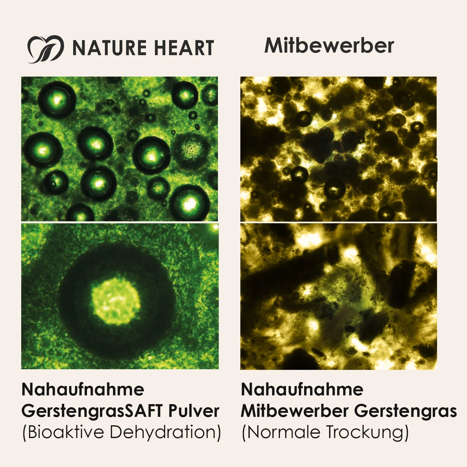 BIO Basisches Grünes Leben - Gerstengrassaft Pulver - Image 4