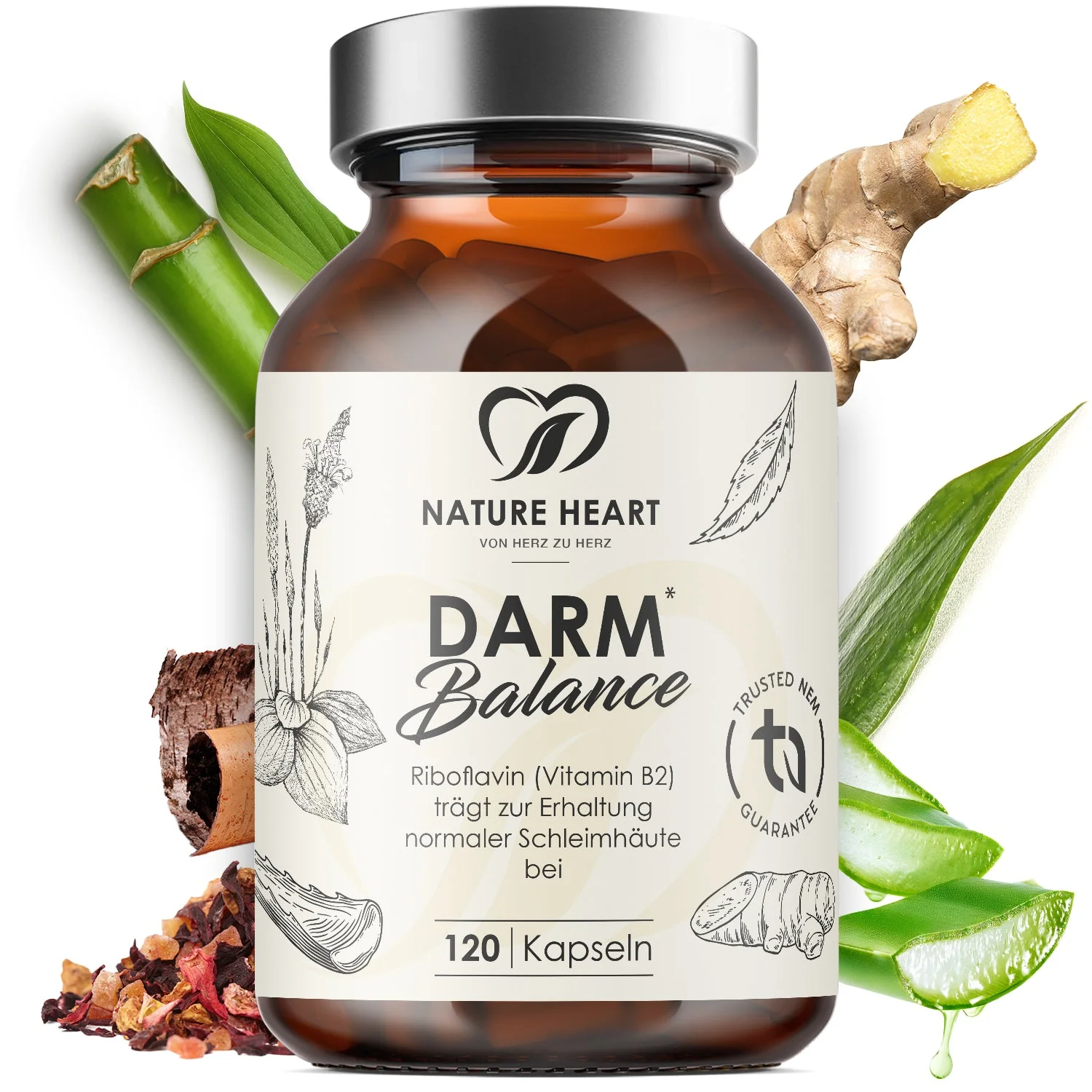 Darm Balance - Image 9