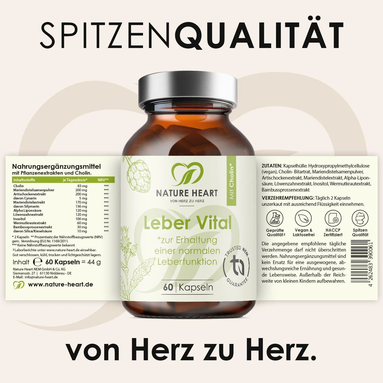 Leber Vital mit 9 Pflanzenextrakten - Image 3