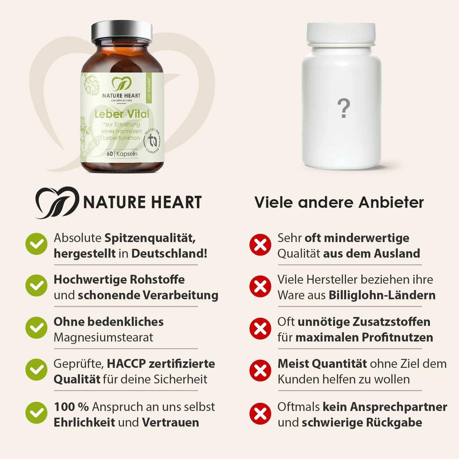 Leber Vital mit 9 Pflanzenextrakten - Image 4