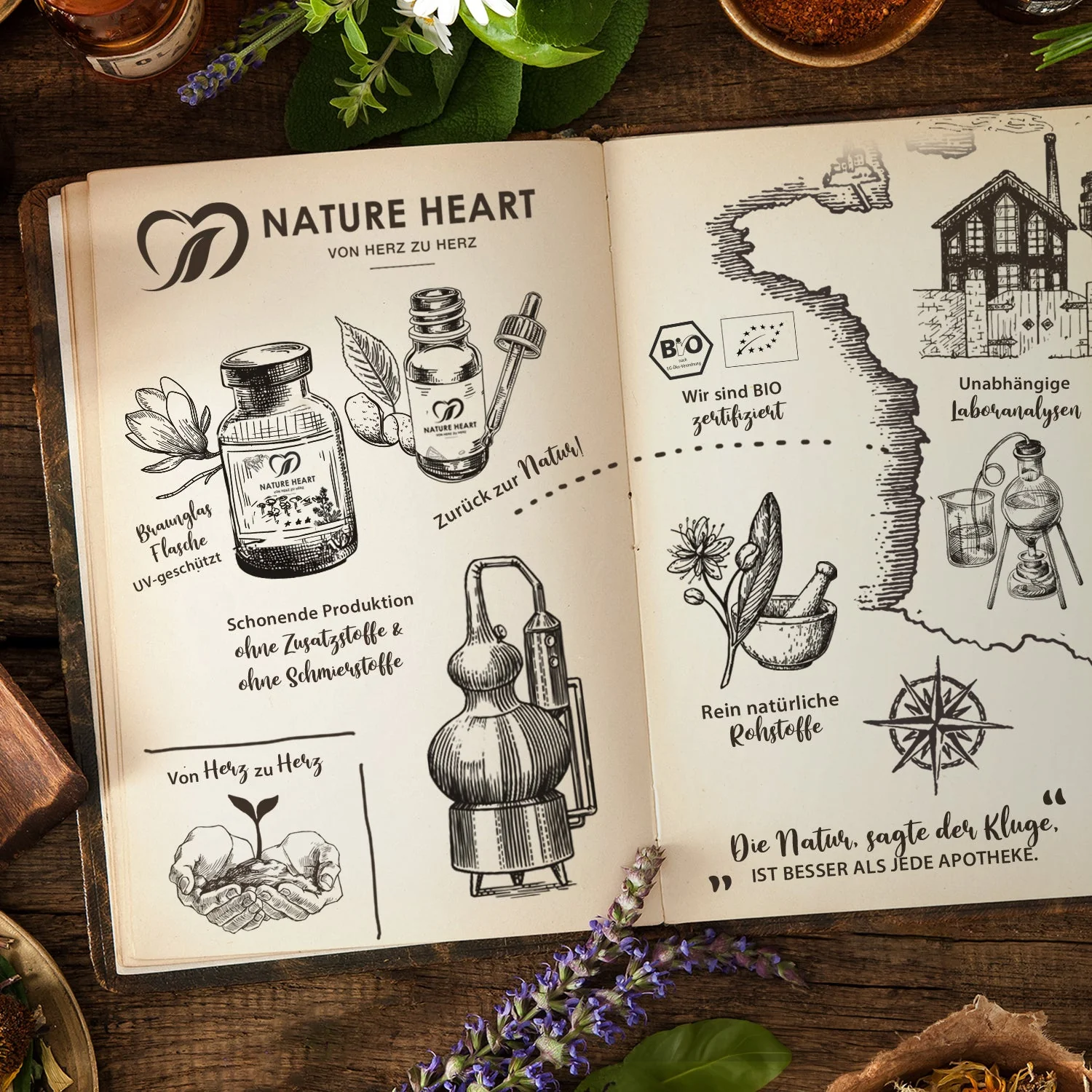 Figur Bundle | Moe Phoenix - Image 9