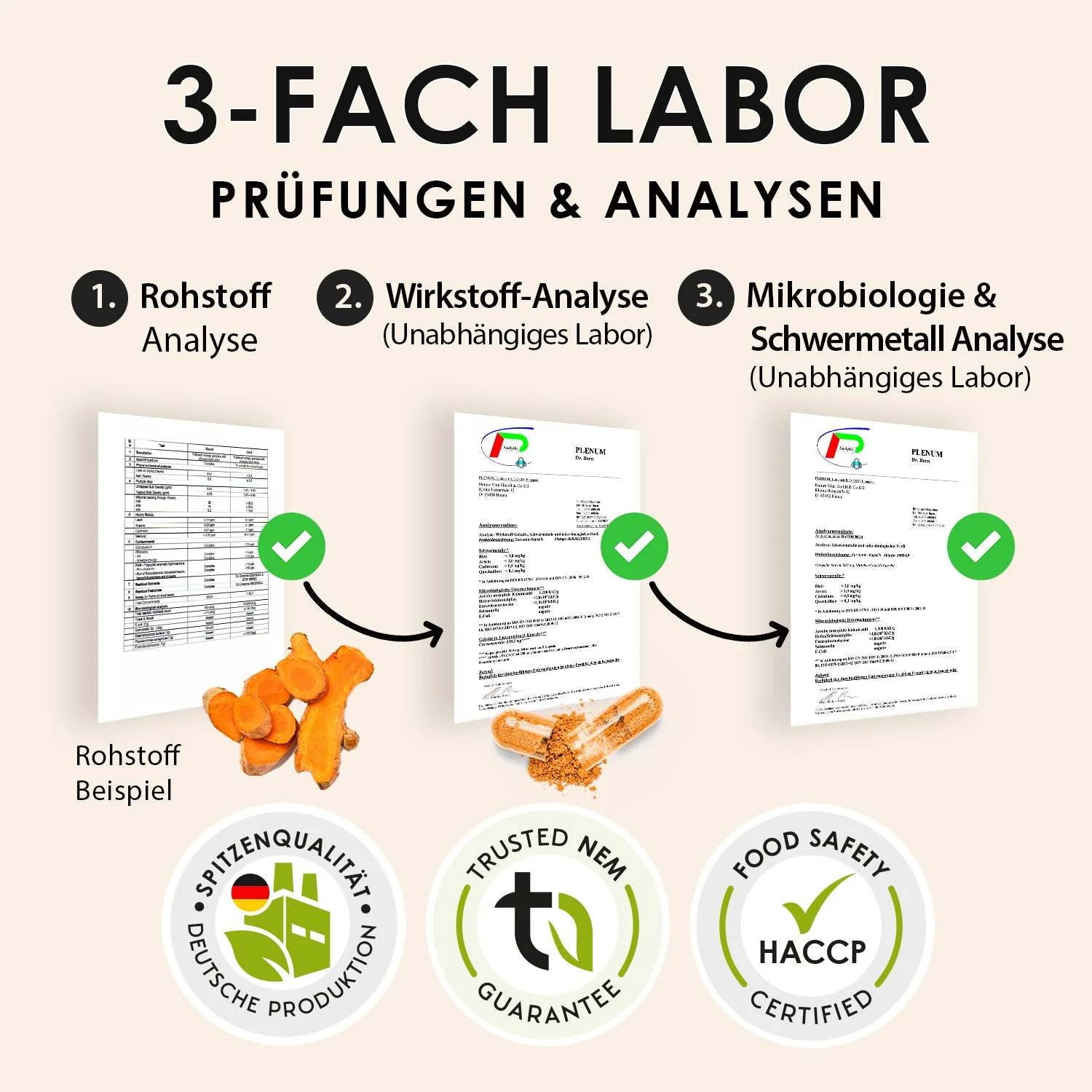 Figur Bundle | Moe Phoenix - Image 8